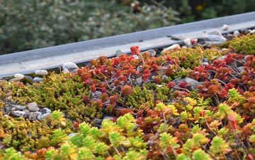 the cost of Thelnetham green roof installation
