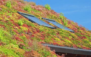 Thelnetham living roof systems